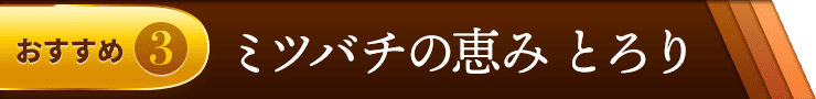 おすすめ3　ミツバチの恵み  とろり